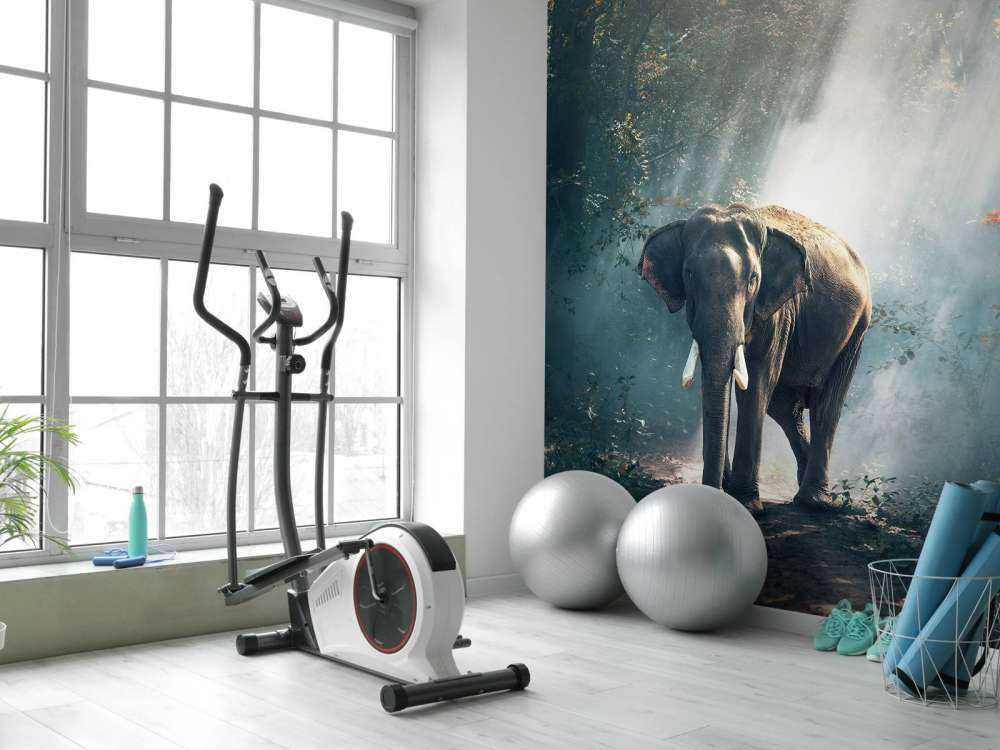 Éléphant dans une jungle