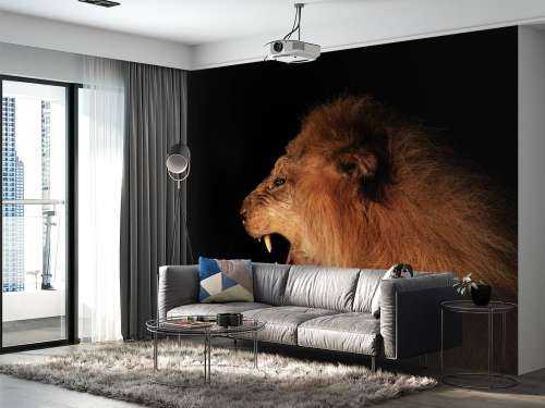Lion rugissant