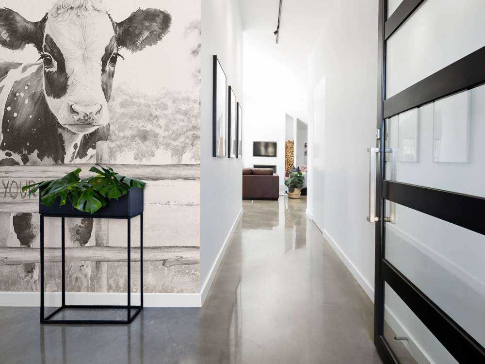 Bébé vache dans un pré beige