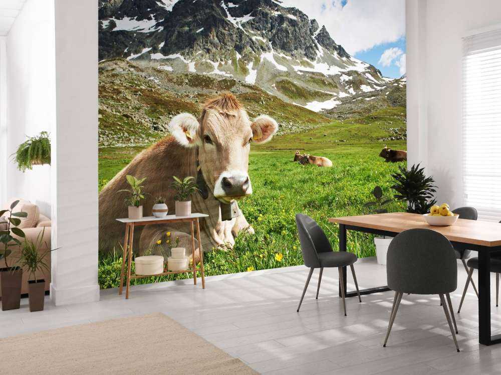Vache autrichienne