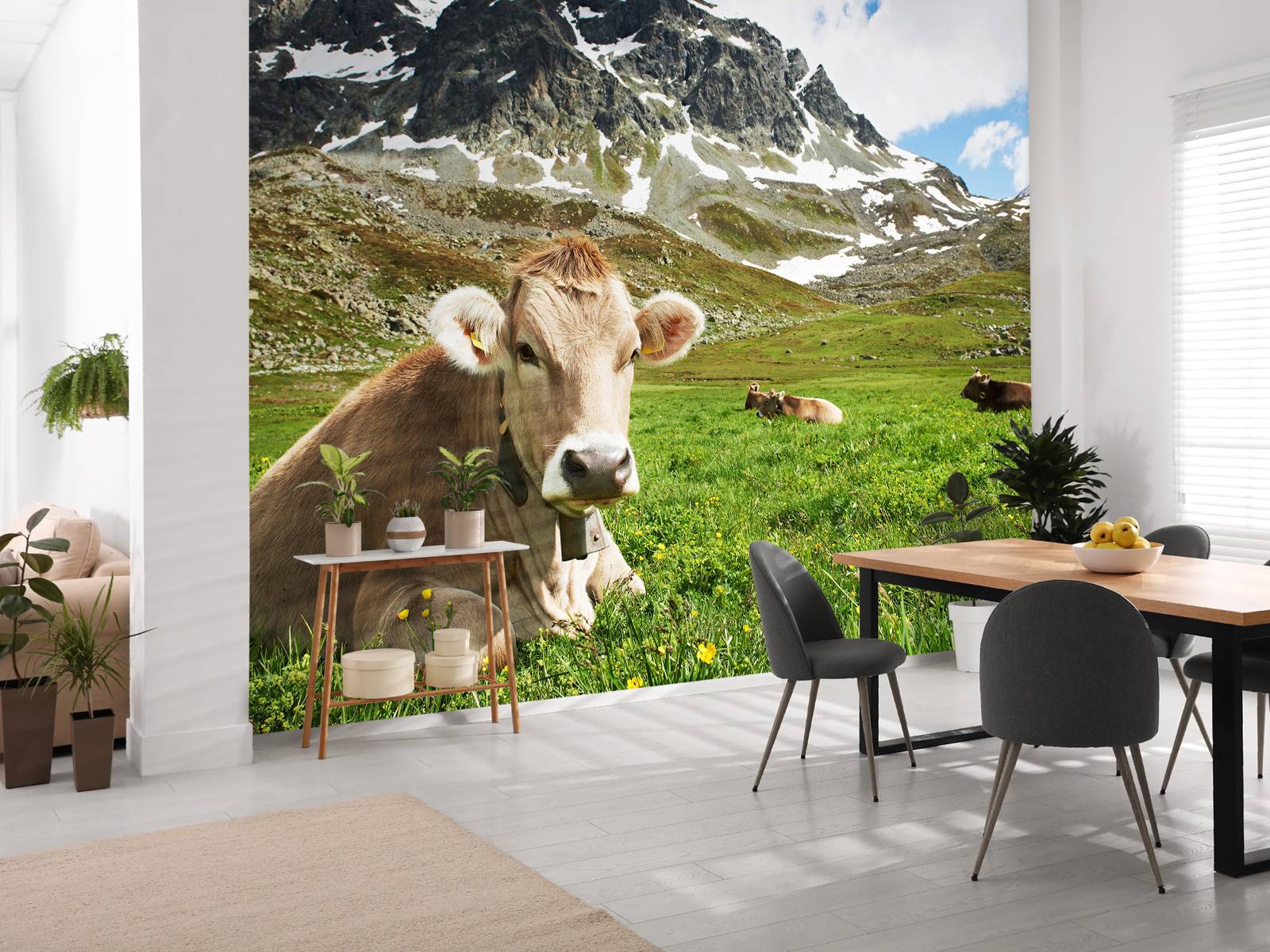 Vache autrichienne