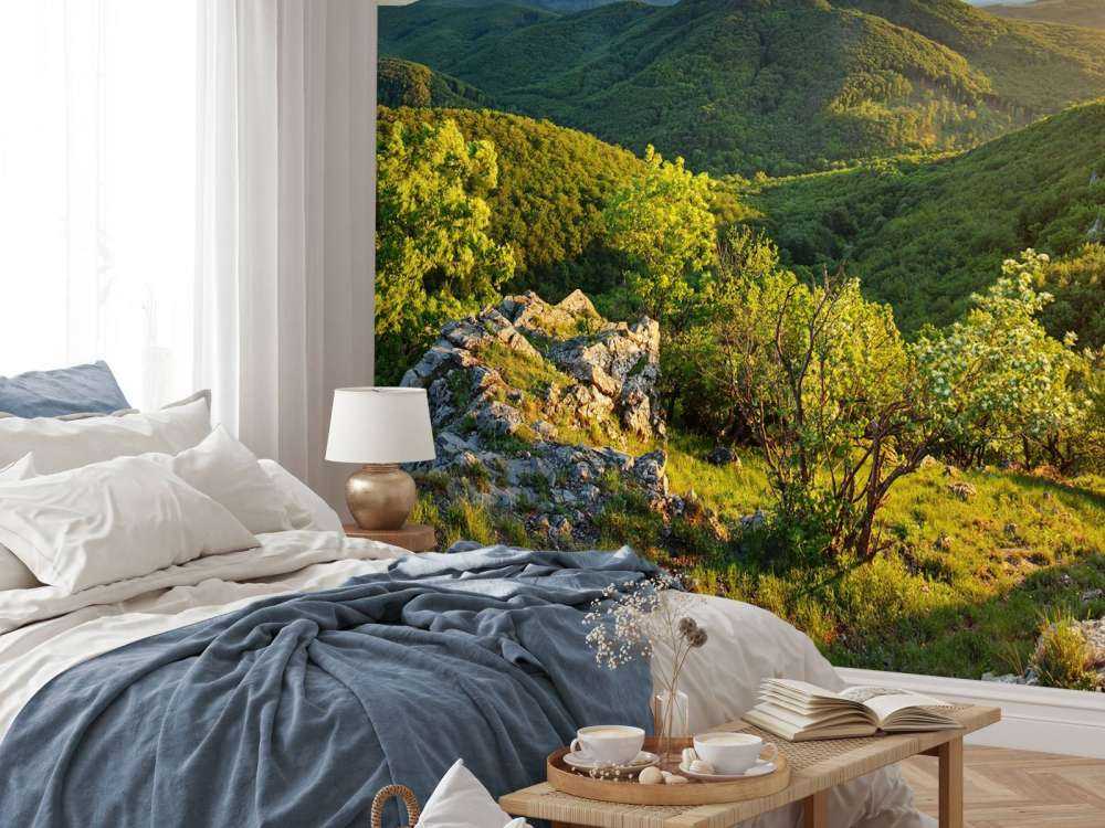 Forêt de montagne