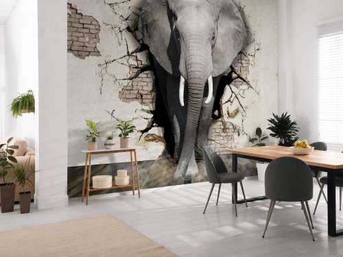 L'éléphant en 3D depuis le mur