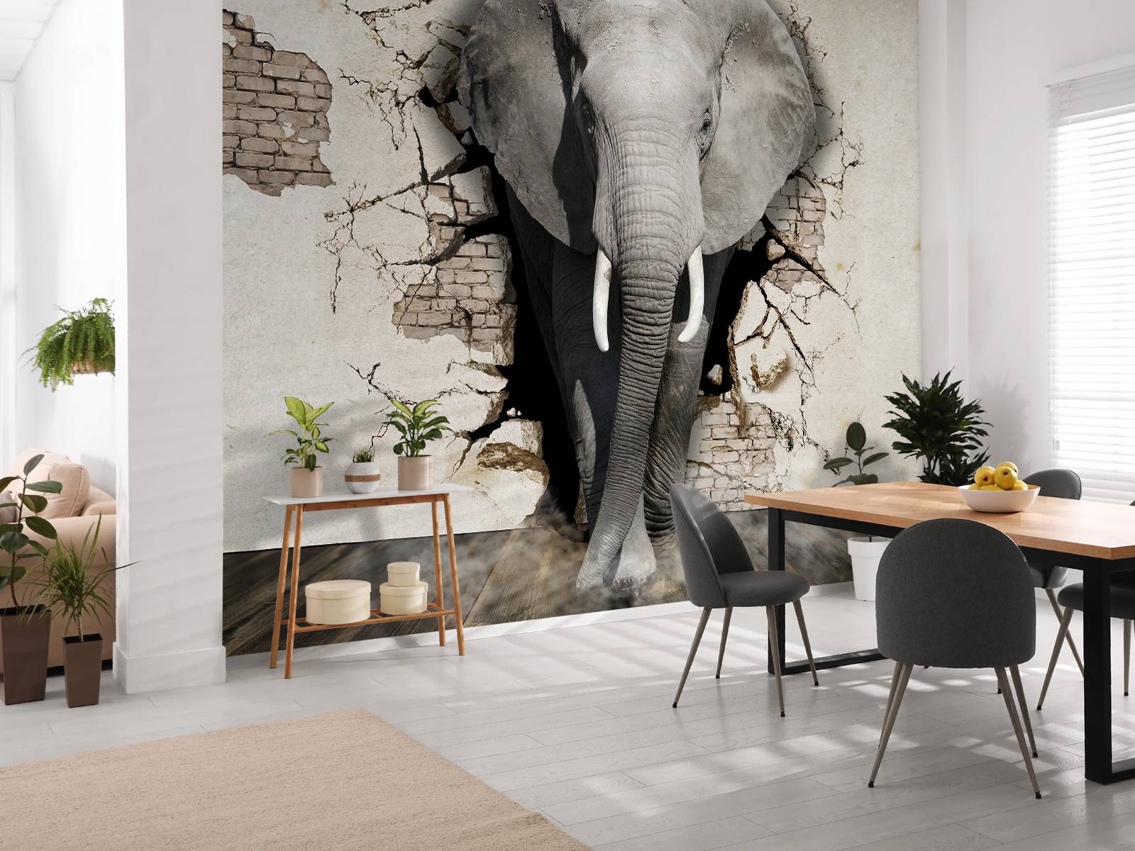 L'éléphant en 3D depuis le mur