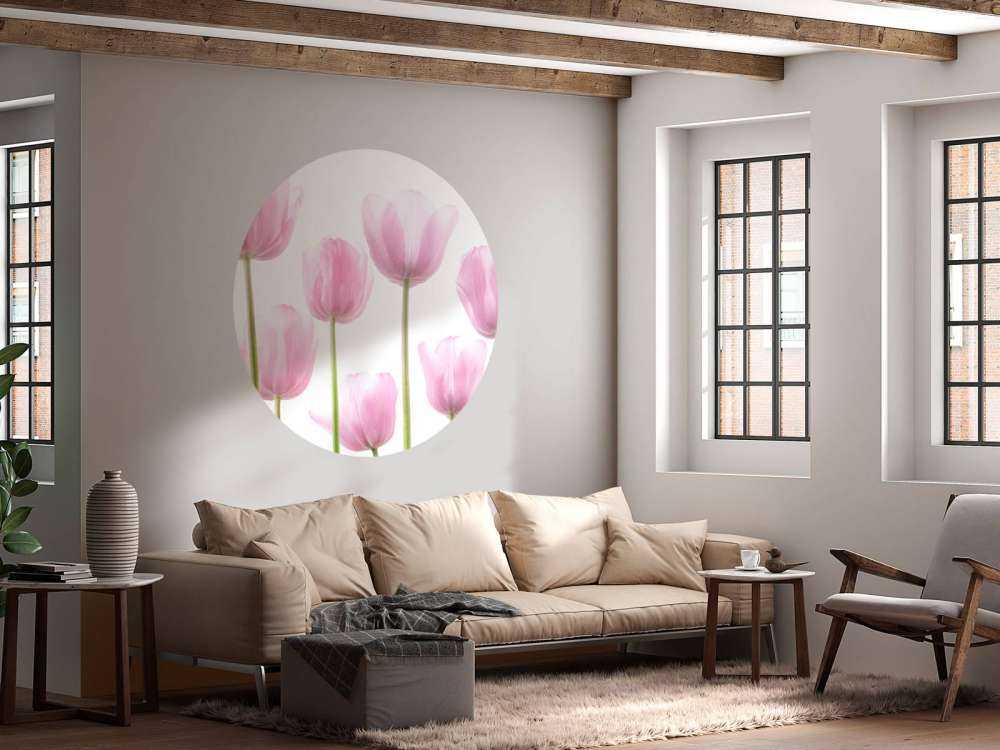Tulipes roses
