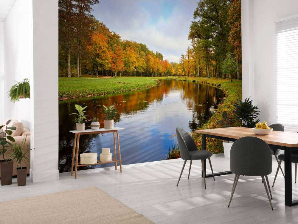 Forêt en automne