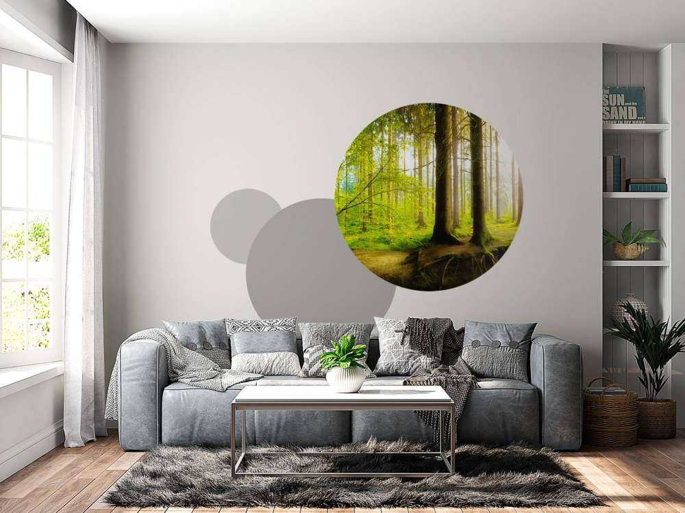 Forêt verte et fraîche