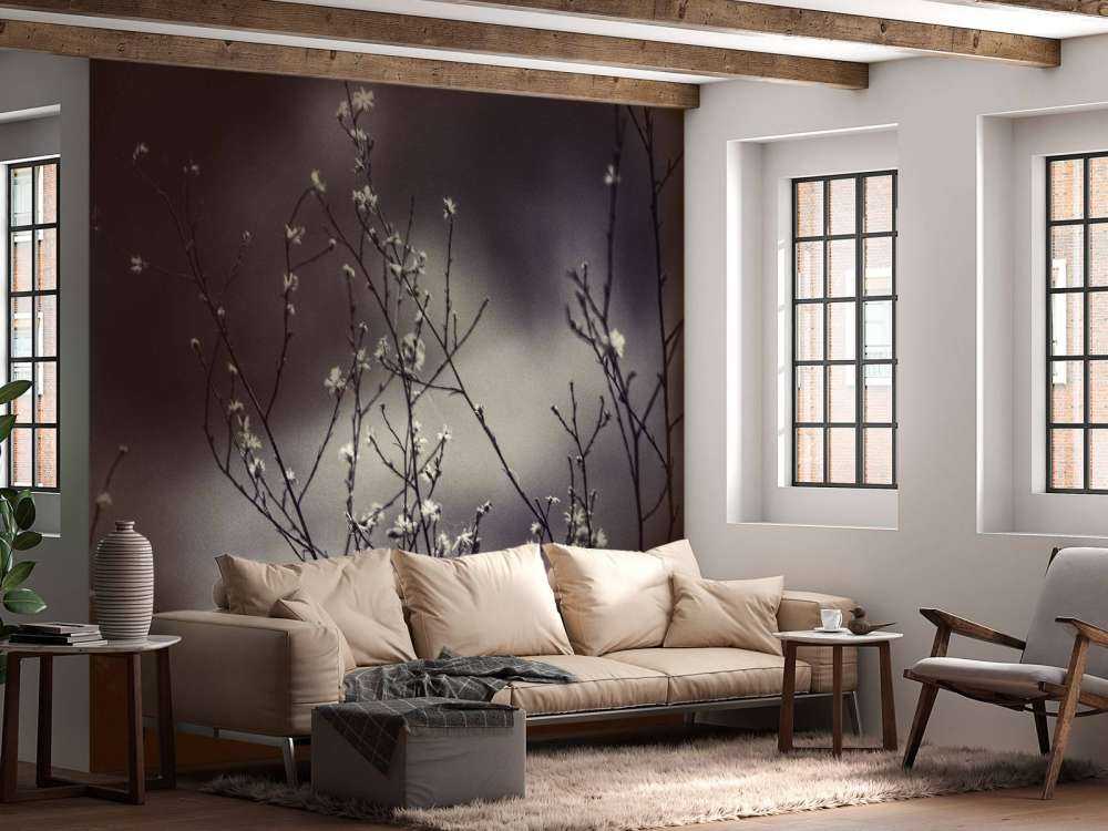 Branches sombres