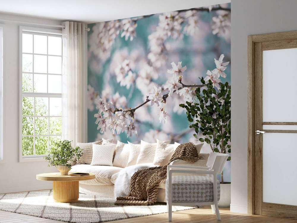 Bourgeons