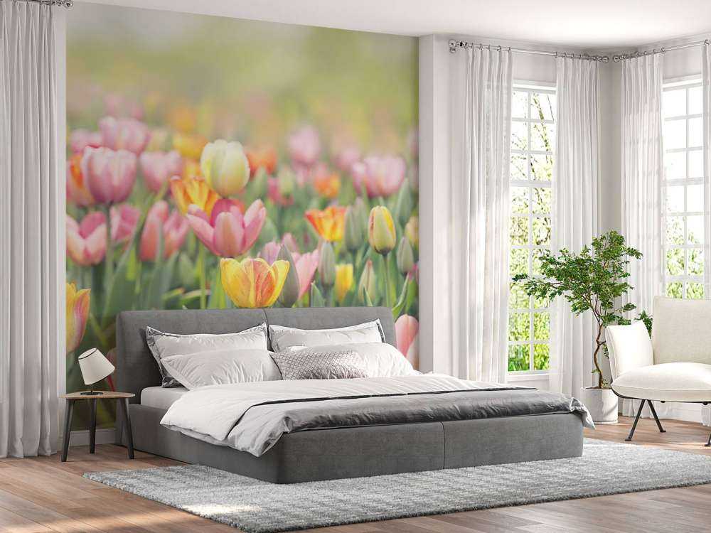 Des tulipes colorées