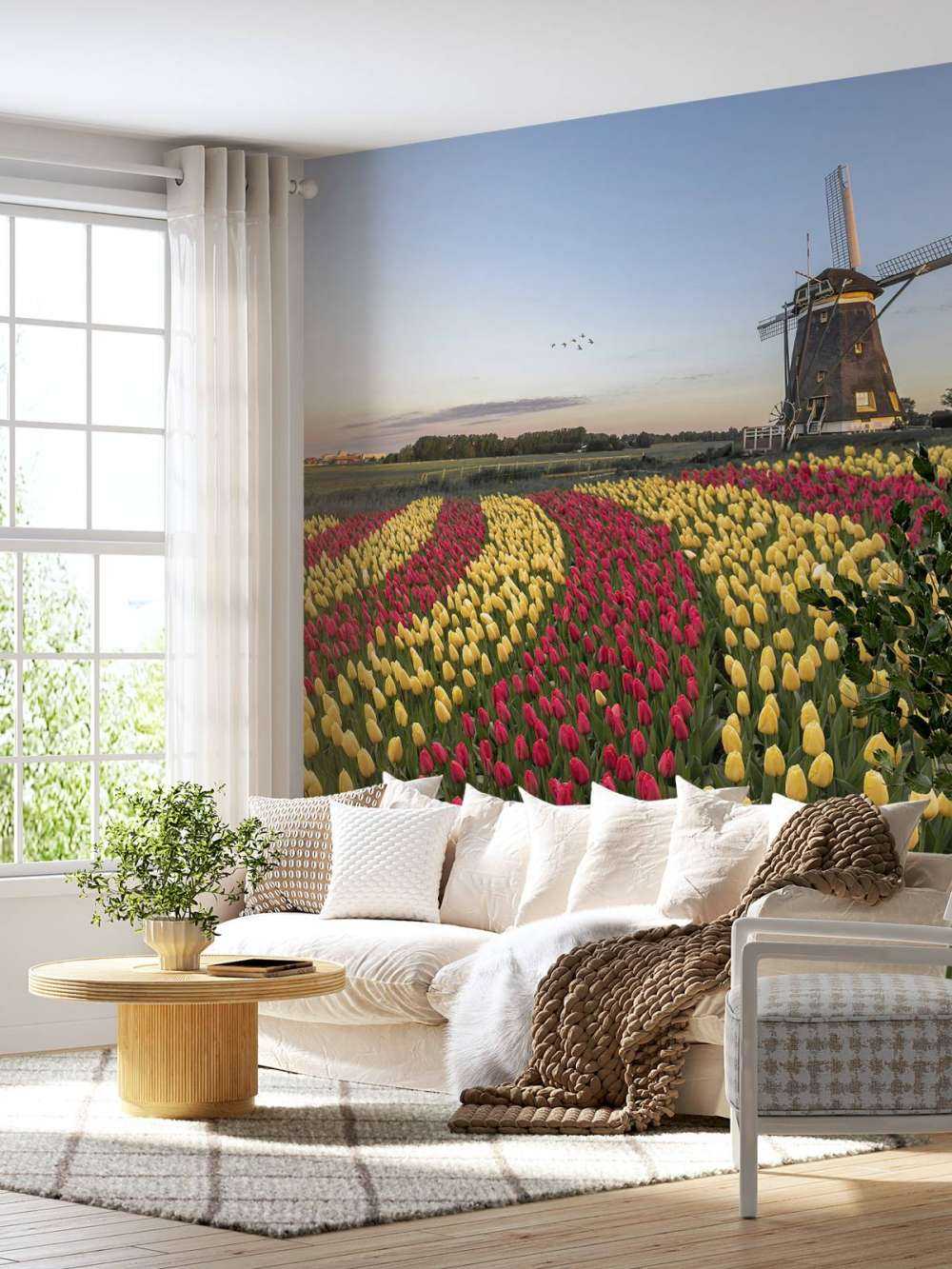 Champ de tulipes néerlandais