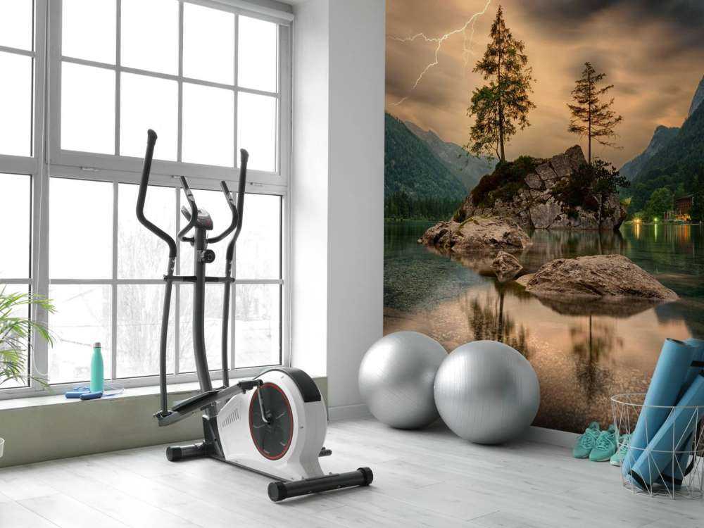 Expérience de la nature