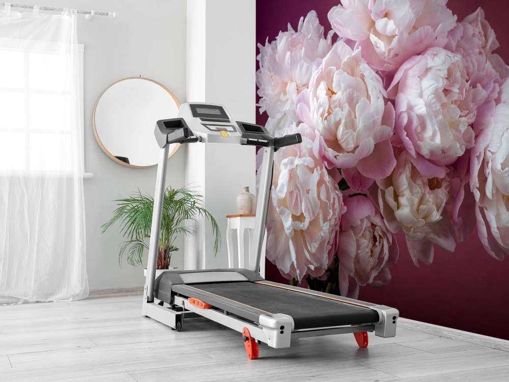 Bouquet de pivoines roses
