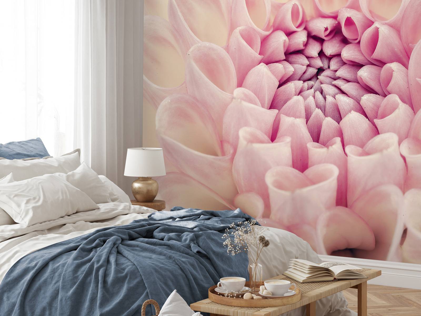 Dahlia en gros plan