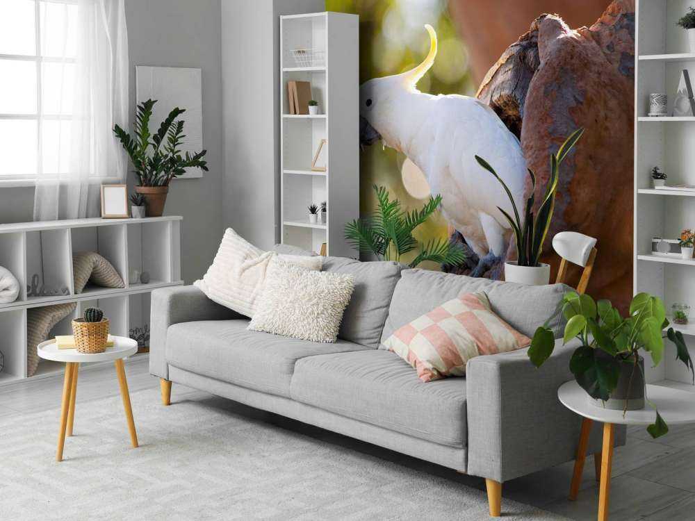 Cacatoès dans la cavité d'un arbre