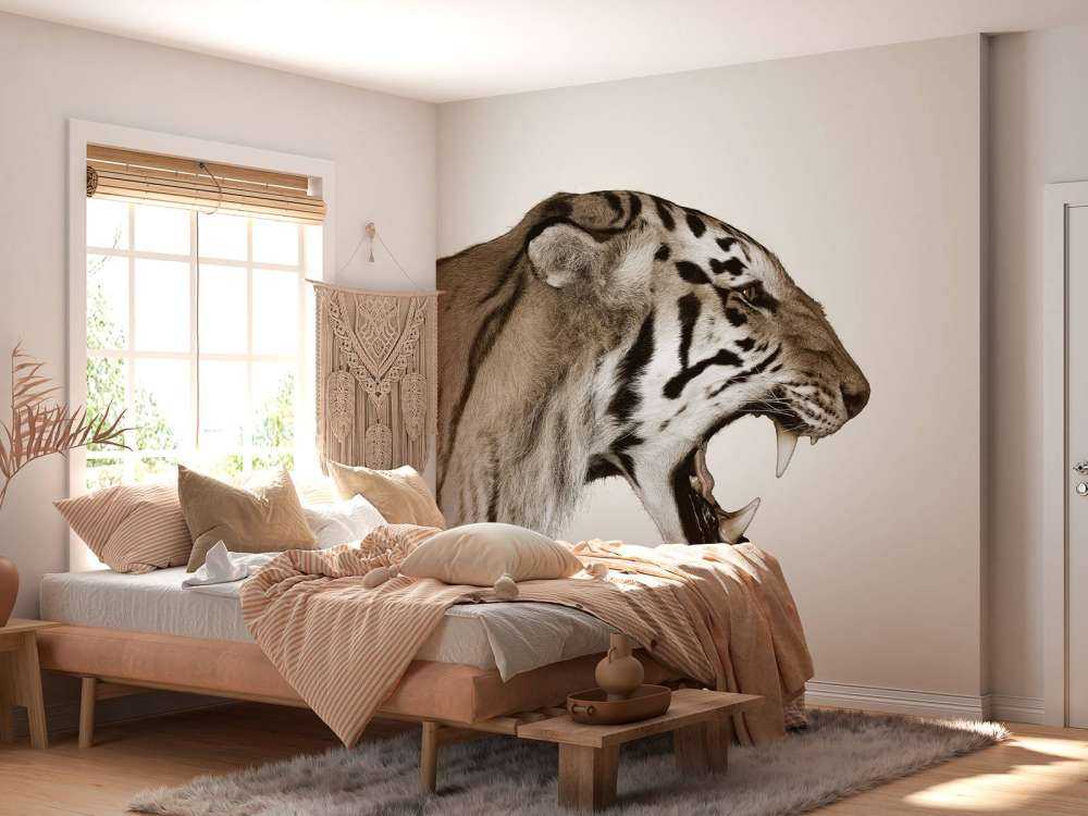 Tigre rugissant blanc