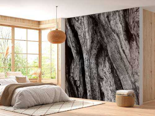 Arbre noir