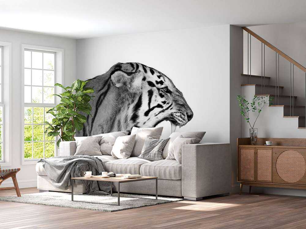 Tigre rugissant blanc