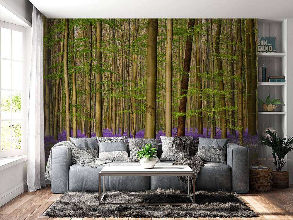 Forêt avec jacinthes des bois