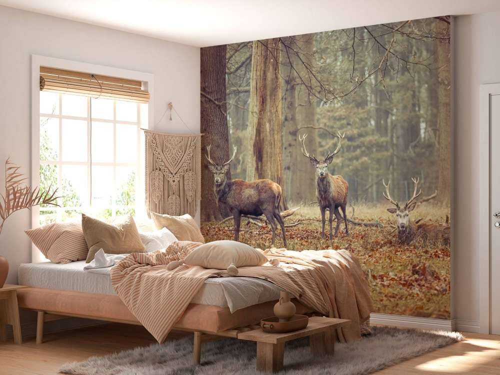 Cerfs sauvages