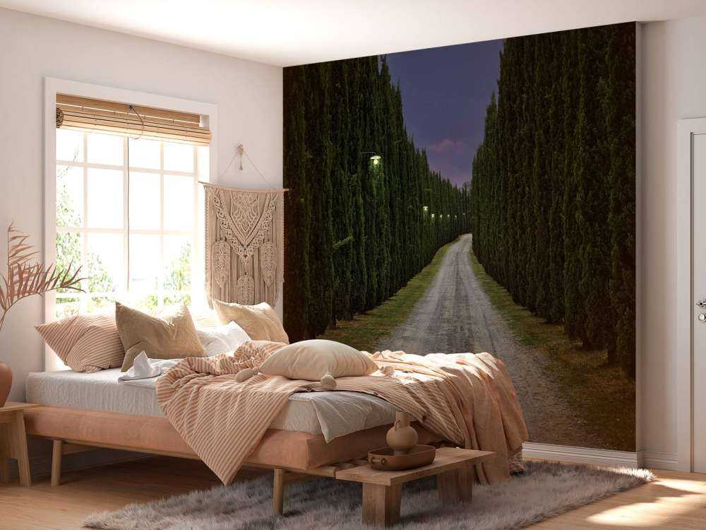 Cyprès le soir