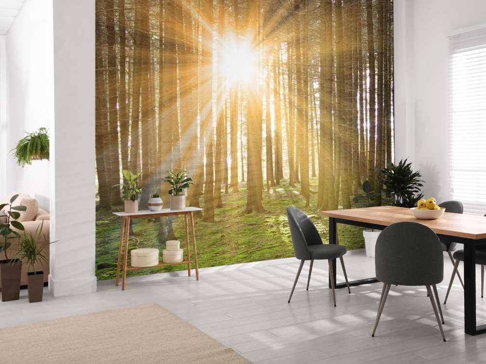 Forêt de pins ensoleillée