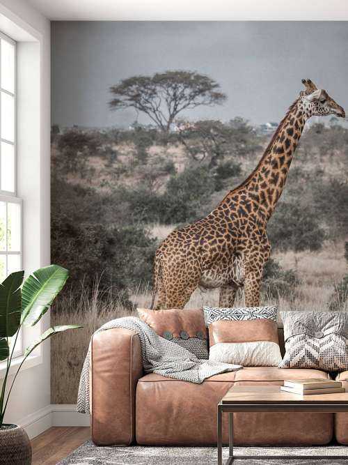 Portrait de girafe