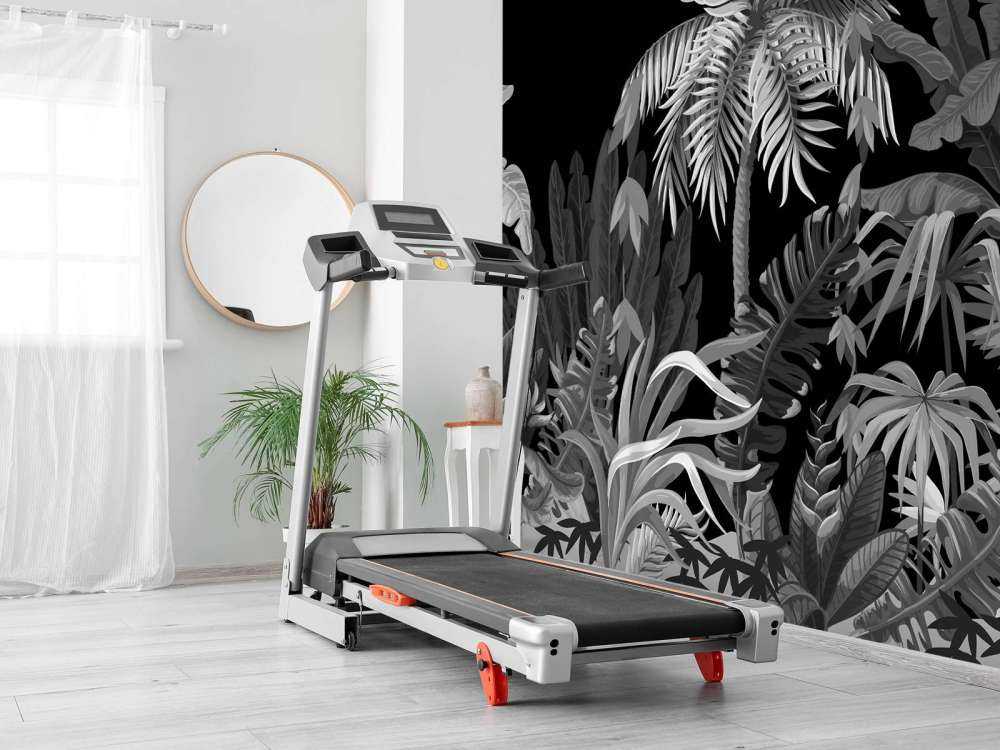 Jungle, noir