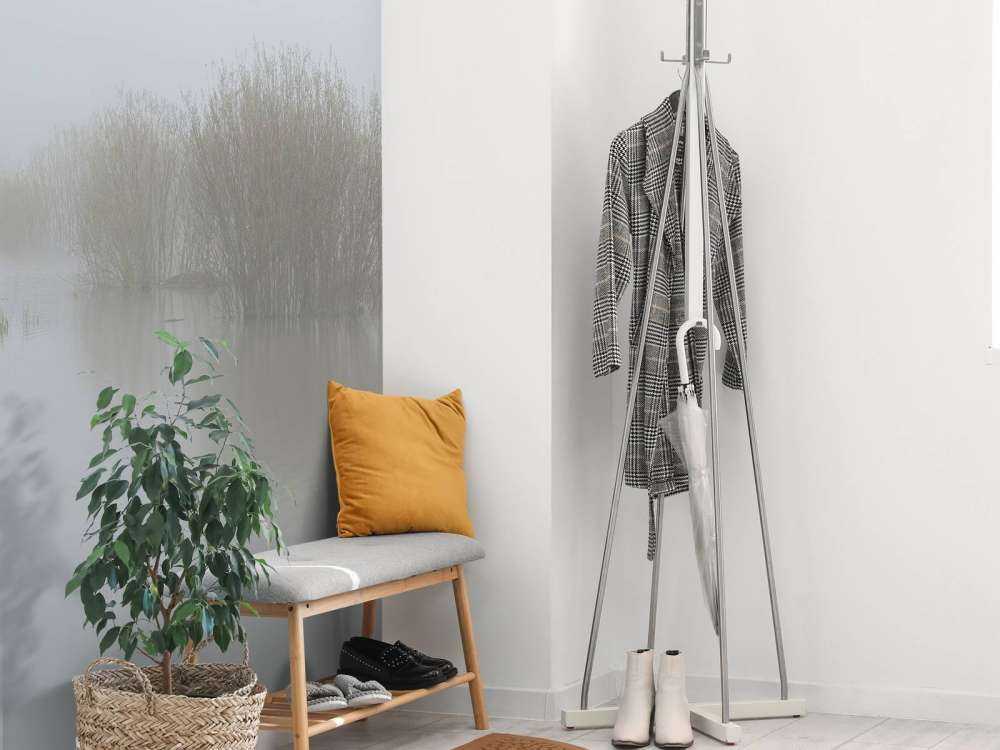 Brouillard dans une réserve naturelle