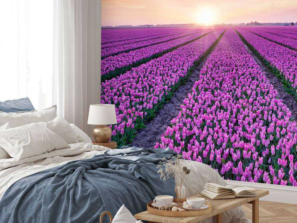 Champ de tulipes au lever du soleil