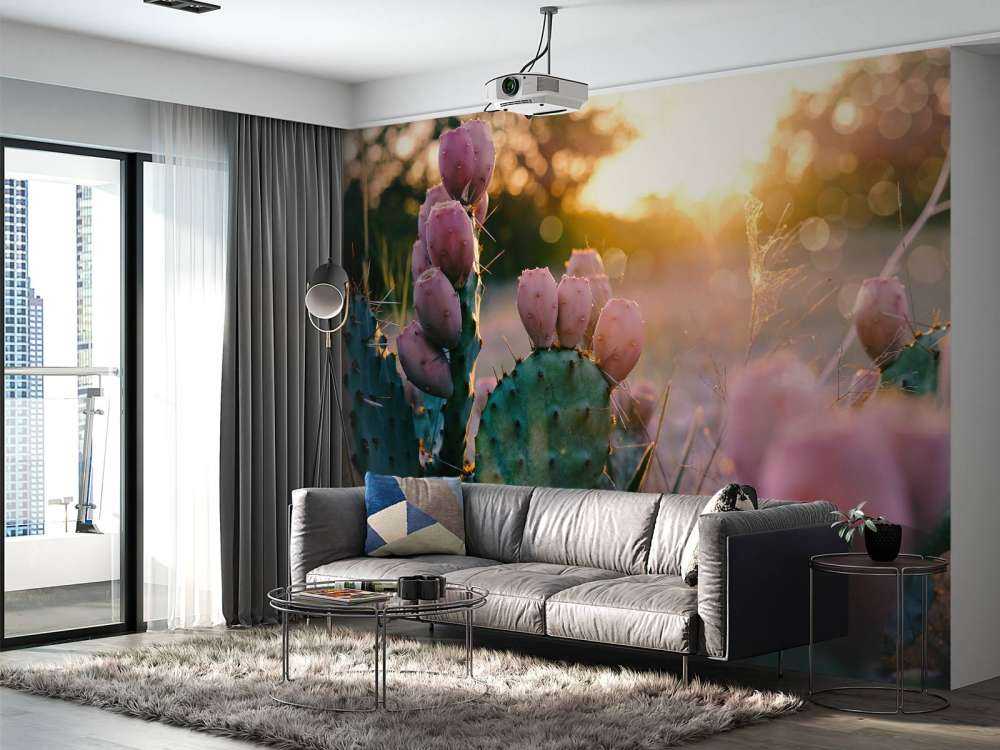 Cactus à fleurs