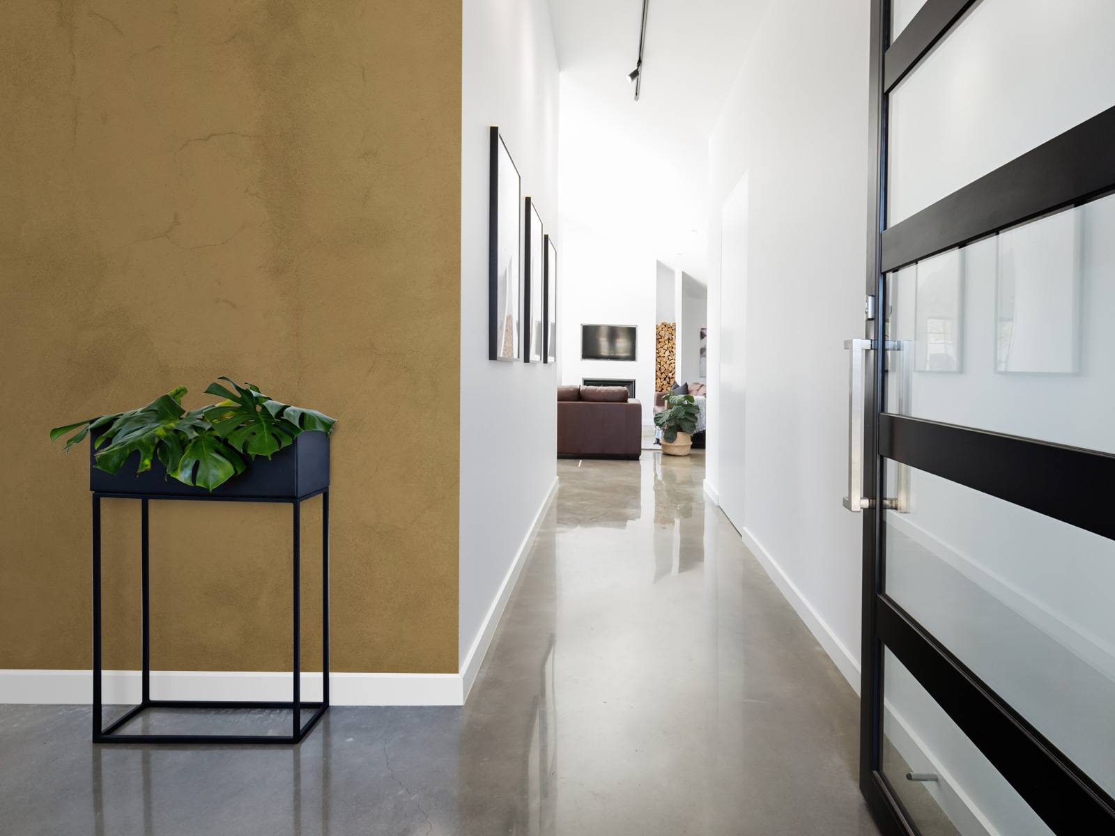 Béton marron coyote