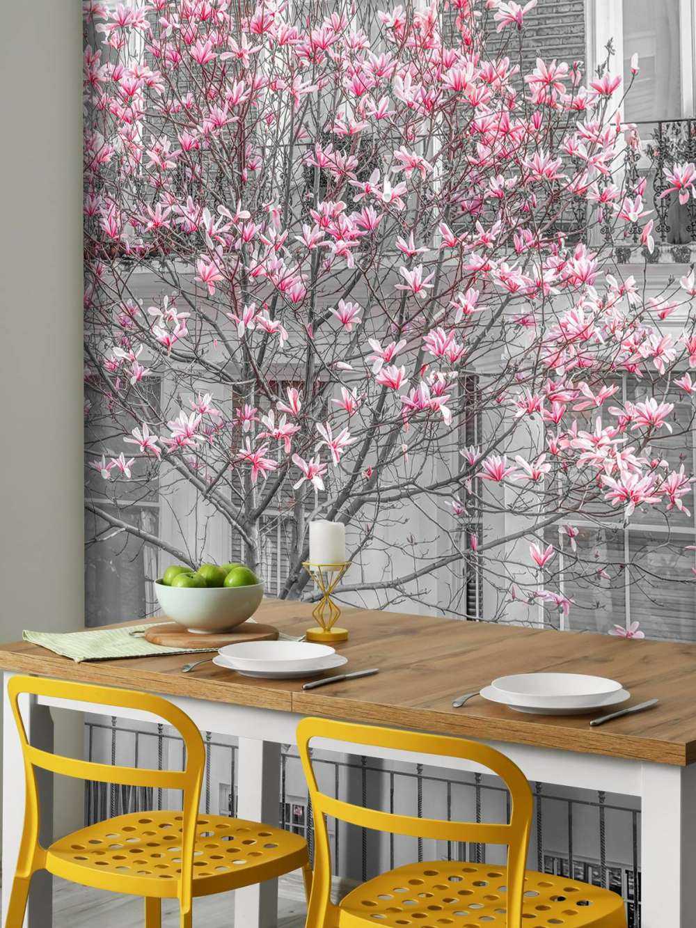 Magnolia en fleurs