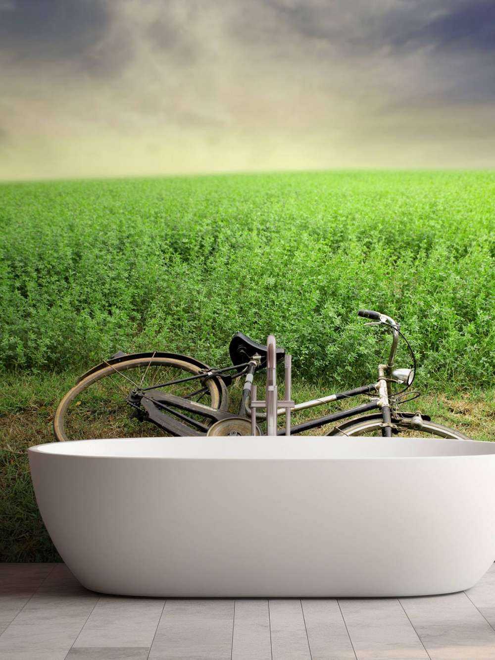 Vieux vélo