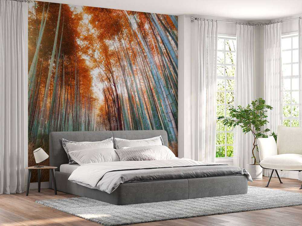 Forêt de bambou d'automne