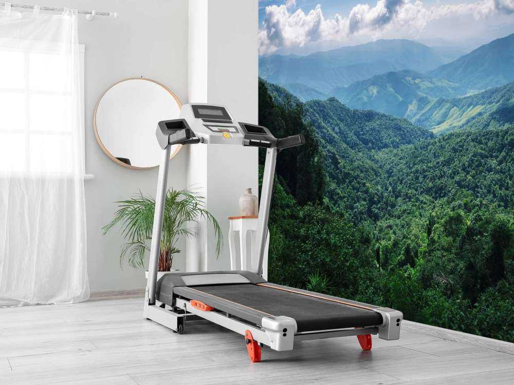 Forêt tropicale verte