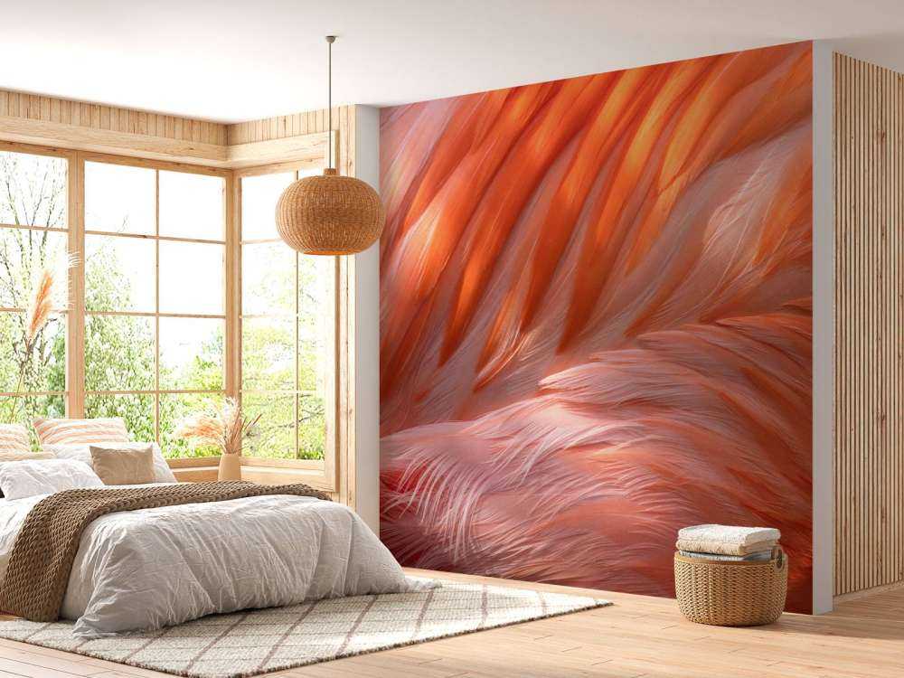 Plumes de flamant