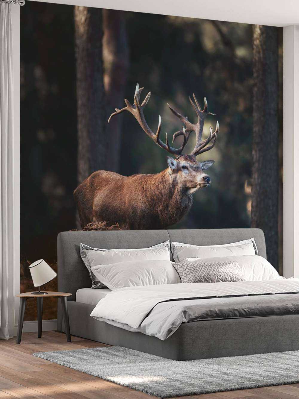 Un cerf sur une colline