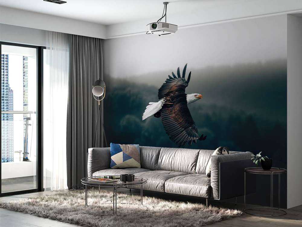 Aigle volant