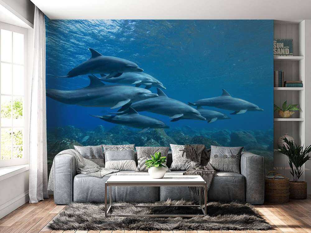 Dauphins et rochers