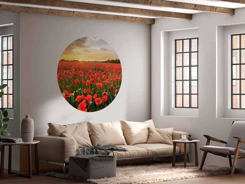 Coucher de soleil avec des coquelicots
