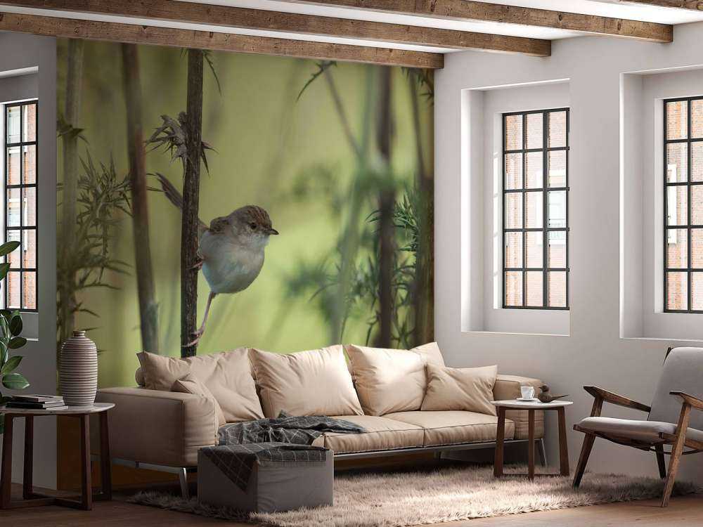 Oiseau sur une branche