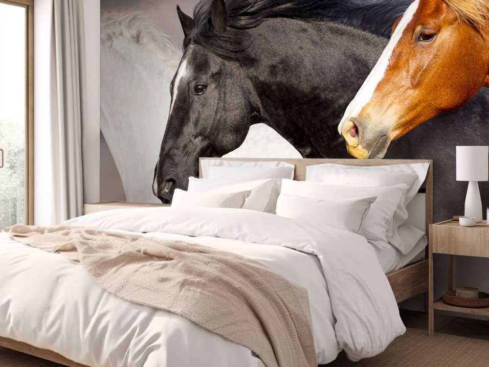 Troupeau de chevaux