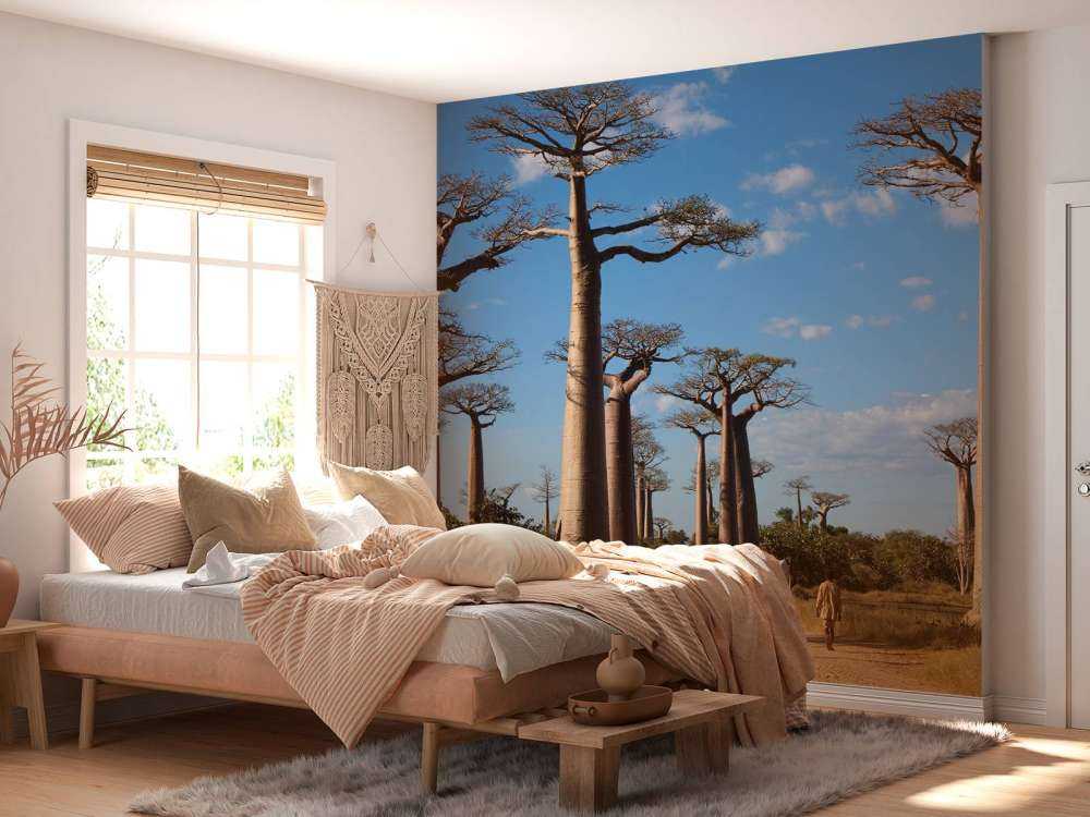 Baobabs