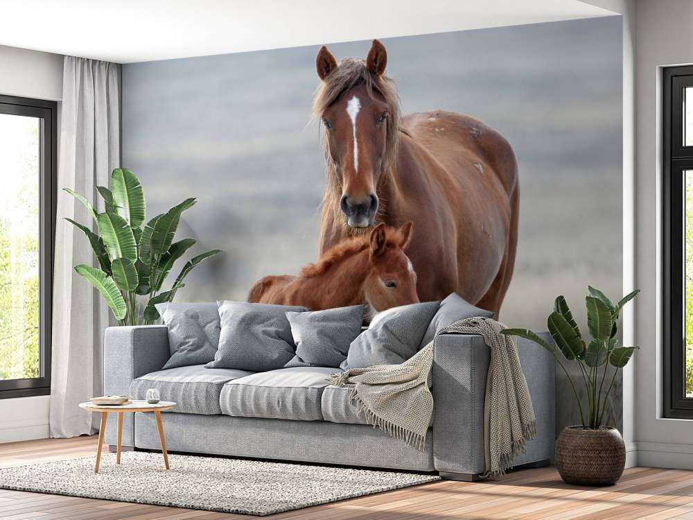 Chevaux sauvages