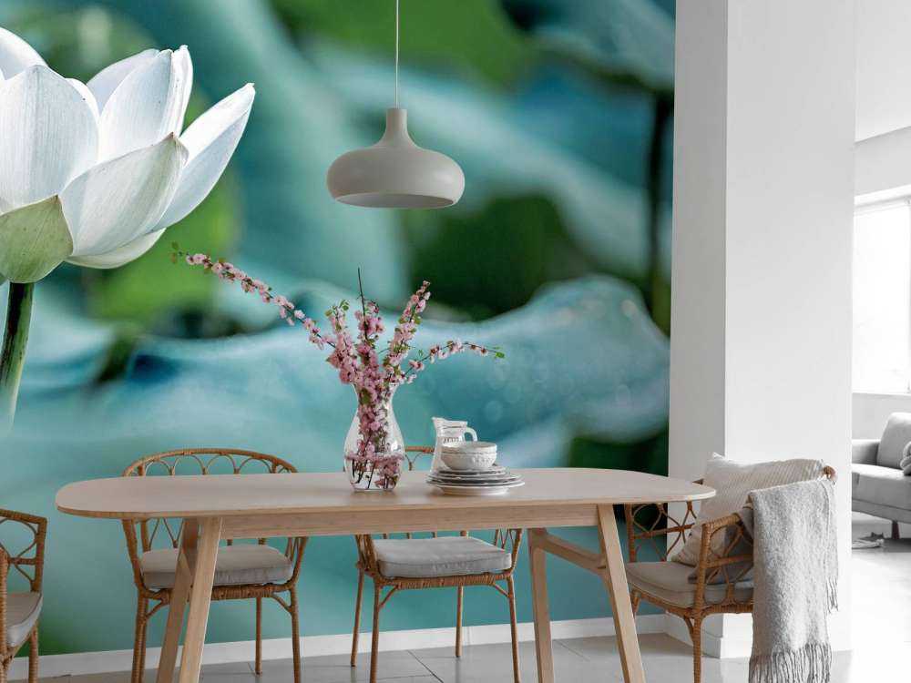 Fleur de lotus blanc