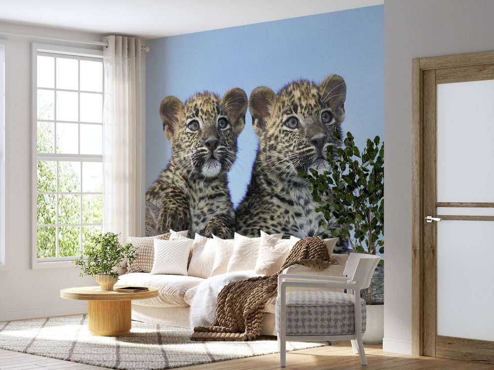Bébés léopards