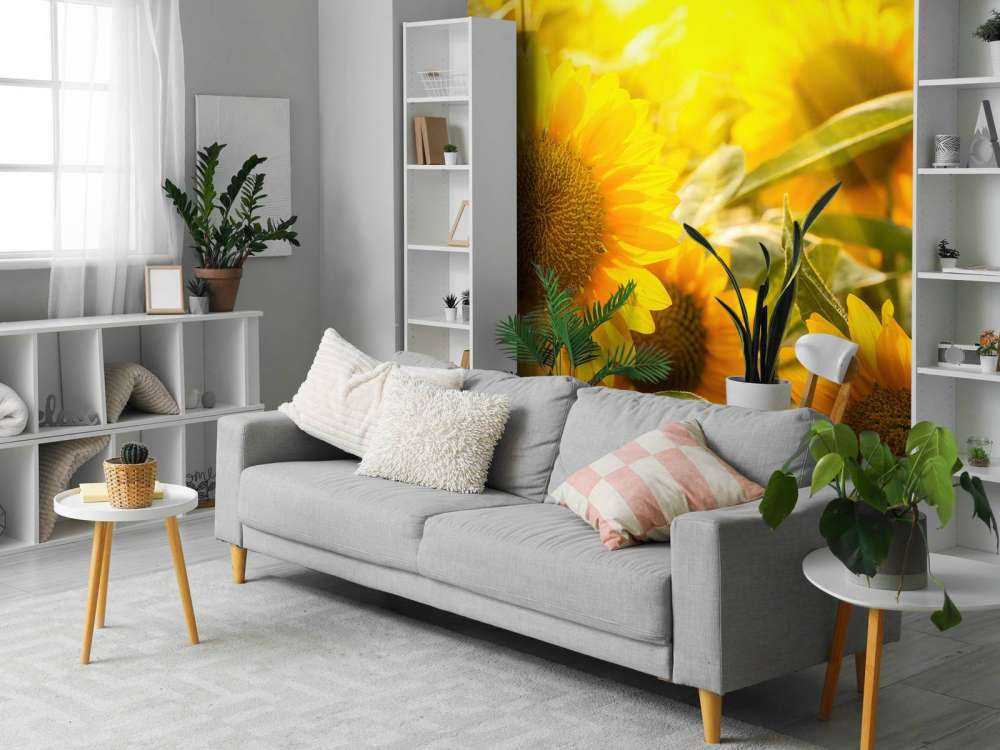 Les tournesols et le soleil