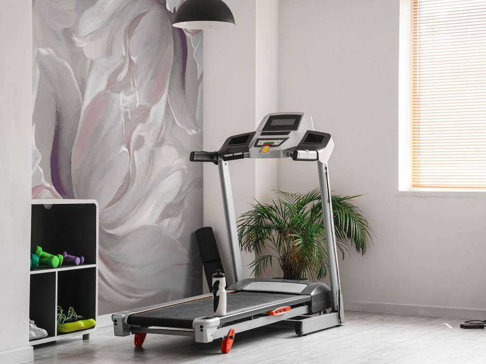 Grandes tulipes roses