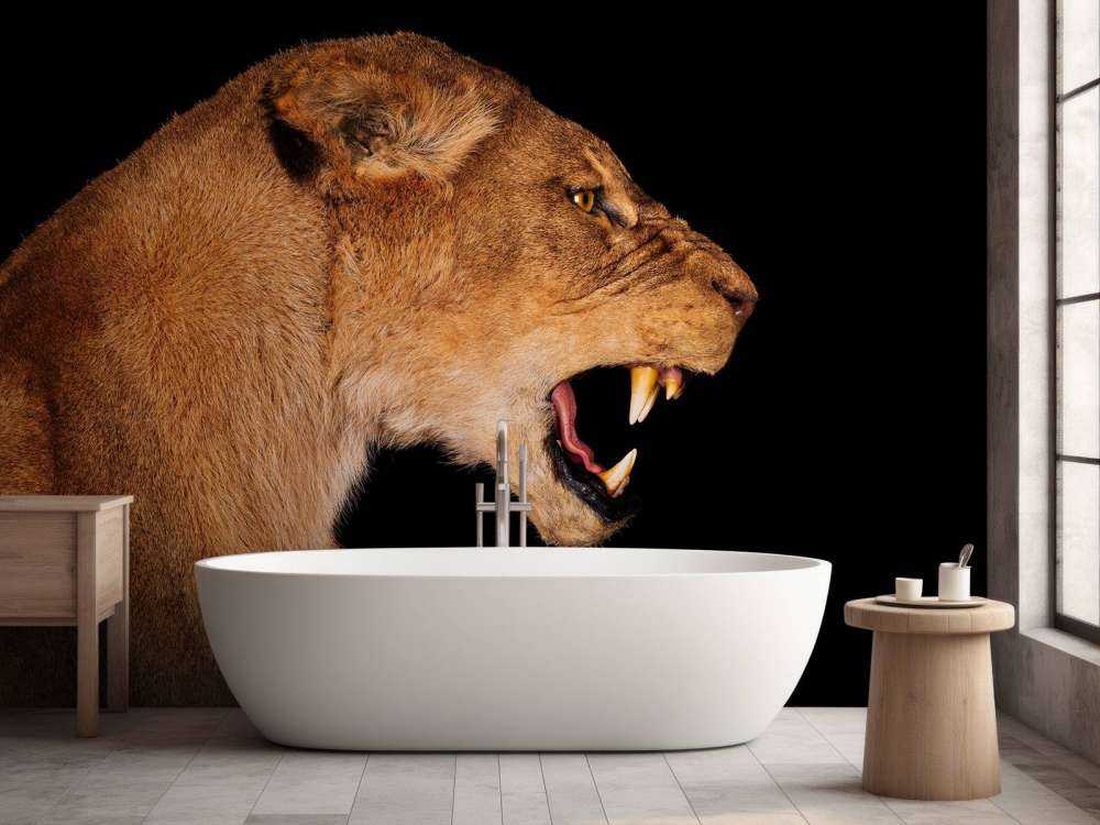 Lionne vue de côté
